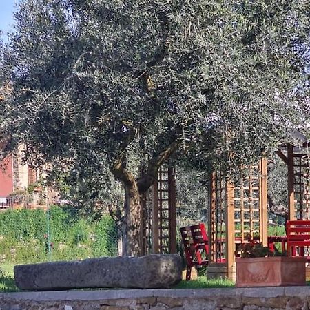 Agriturismo Il Pintello San Casciano in Val di Pesa Buitenkant foto