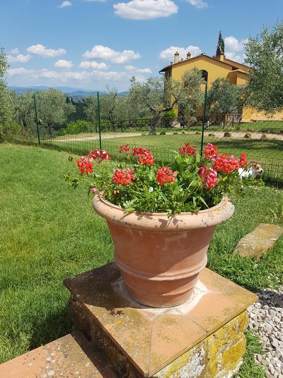 Agriturismo Il Pintello San Casciano in Val di Pesa Buitenkant foto