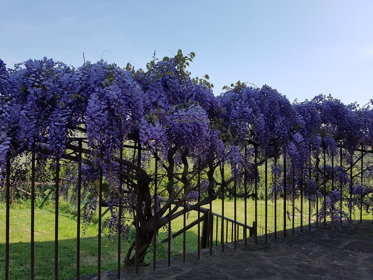 Agriturismo Il Pintello San Casciano in Val di Pesa Buitenkant foto